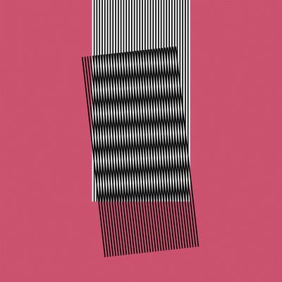 Why Makes Sense? - Hot Chip [VINYL]
