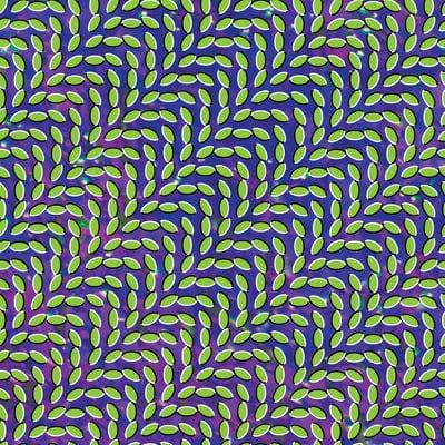 Merriweather Post Pavilion - Animal Collective [VINYL]